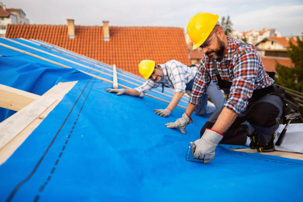Best Metal Roofing Contractor  in Archbald, PA