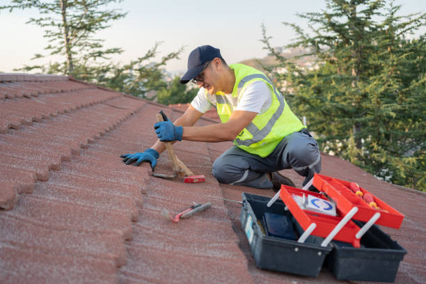 Best Storm Damage Roof Repair  in Archbald, PA